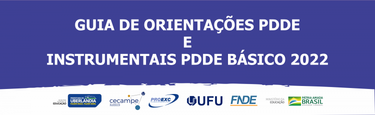 Guia De OrientaÇÕes Pdde Instrumental Pdde BÁsico 2022 Pró Reitoria De Extensão E Cultura 